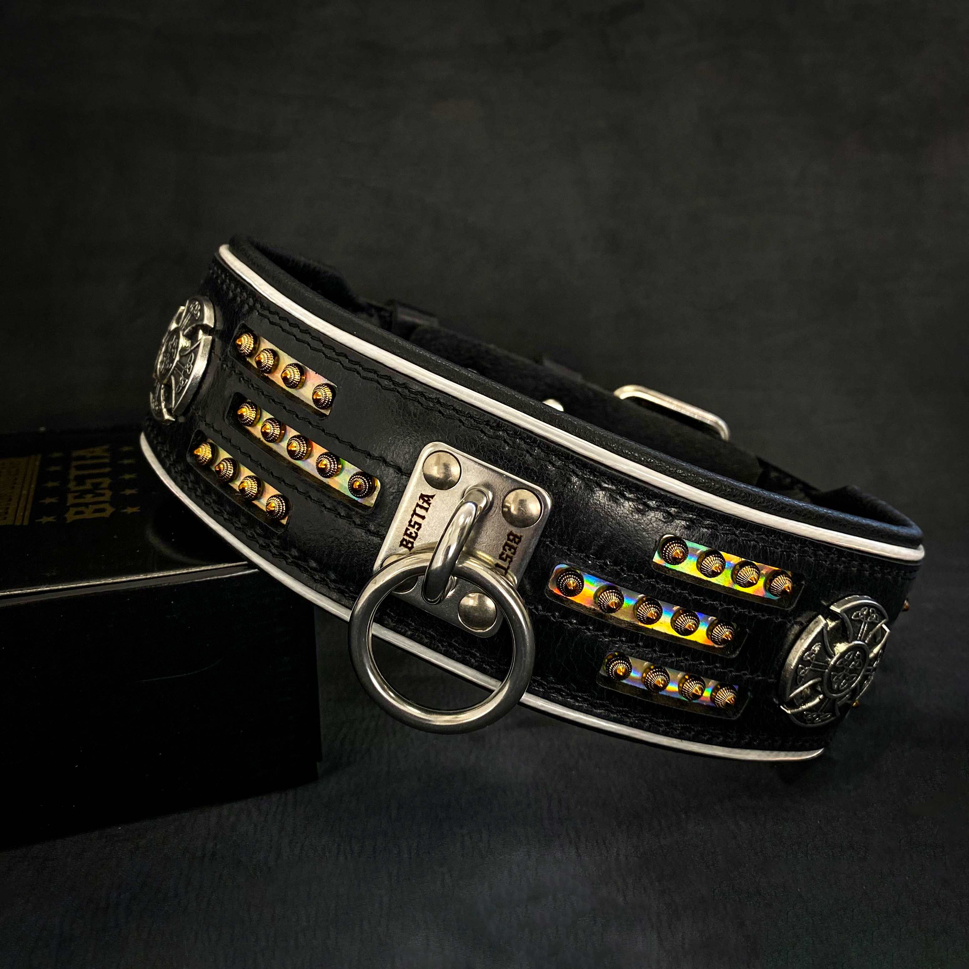 Choosing the Perfect Dog Collar: Style Meets Function
