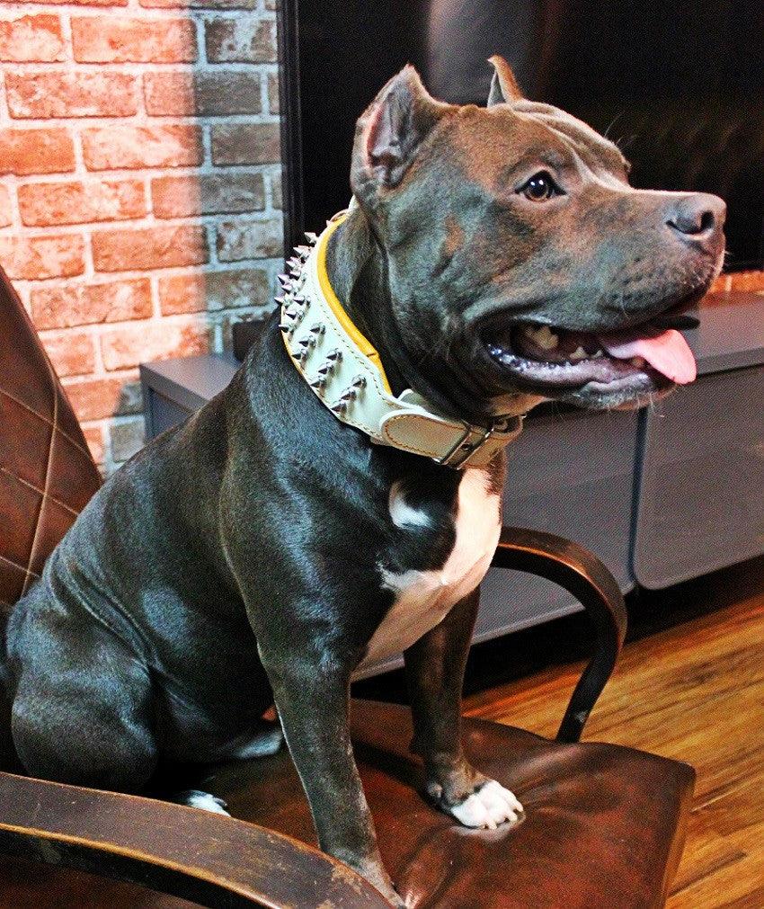 Handmade Genuine Leather Collar: The Essence of Everyday Elegance