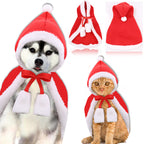 Christmas Rainbow and Gold Pet Costume for Festive Fun
