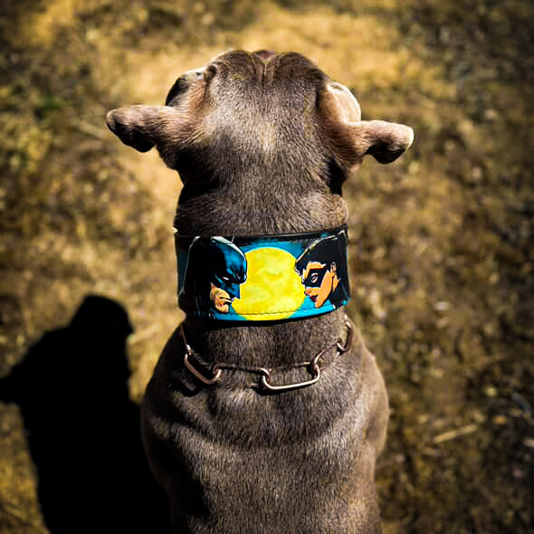 Luxury Handcrafted Dog Collar – Genuine Leather, Limited Edition