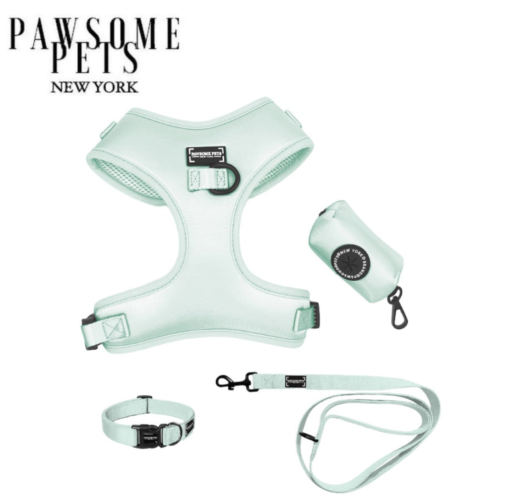 Mint Green Pet Bundle - Dog Walking Set with Harness Collar Leash Poop Bag Holder And Bowtie