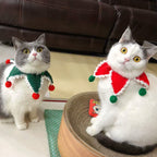 Christmas Santa Pet Costume for Cats