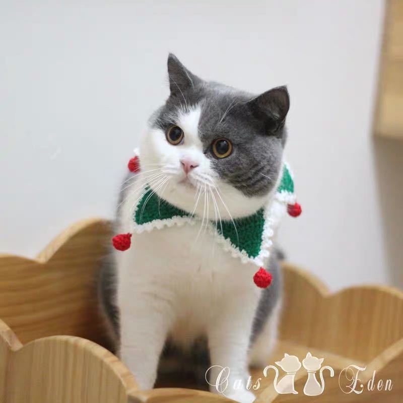 Christmas Santa Pet Costume for Cats