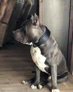 Plain "Style" Collar black-2