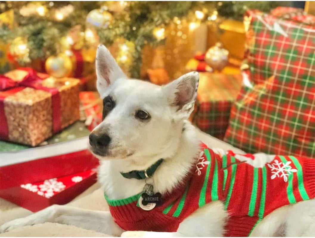 Christmas Dog Snowman Sweater for Cozy Holiday Style