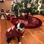 Christmas Dog Snowman Sweater for Cozy Holiday Style