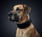 Black ''Crown'' soft leather dog collar-1
