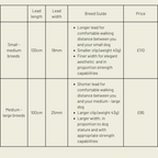 Silver apple leather lead-4