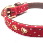 Christmas Festive Red Faux Leather Polka Dot Dog Collar with Gold Plated Buckle