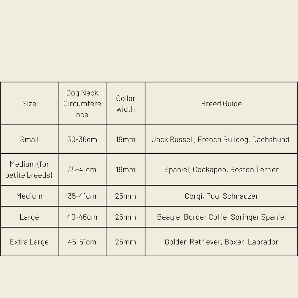 Silver apple leather dog collar-4