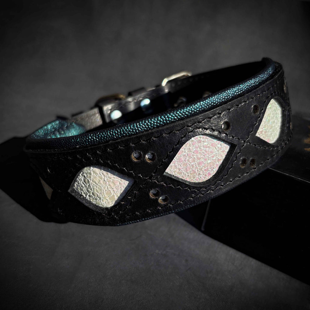 Avatar Dog Collar – Handcrafted Genuine Leather, Turquoise Padding