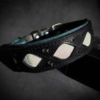 Avatar Dog Collar – Handcrafted Genuine Leather, Turquoise Padding