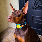 Luxury Handcrafted Dog Collar – Genuine Leather, Limited Edition