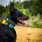 Luxury Handcrafted Dog Collar – Genuine Leather, Limited Edition