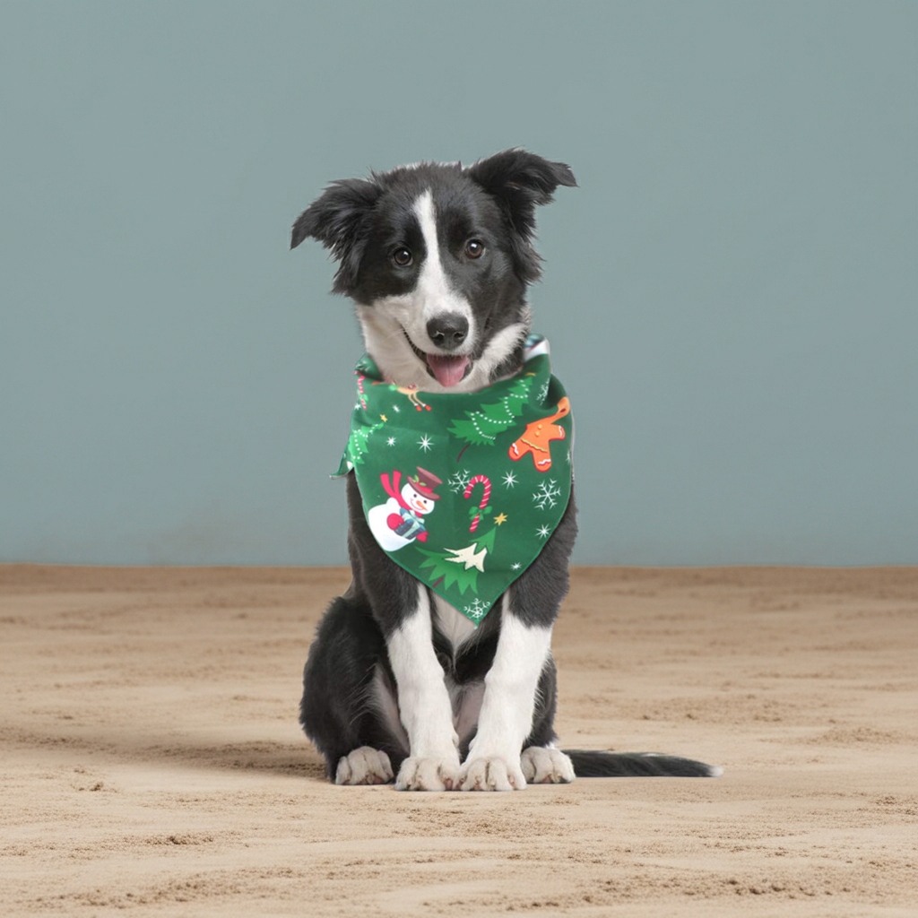Christmas Limited Edition Pet Bibs – Festive Holiday Style